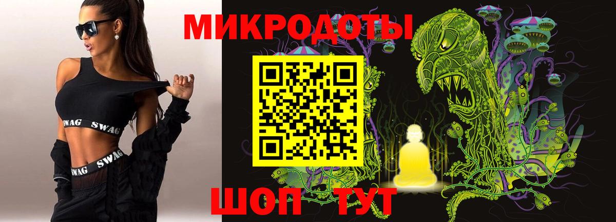 как найти   Вход с VPN  Псилоцибиновые грибы MAGIC MUSHROOMS  Родники  Галлюциногенные грибы Psilocybe 